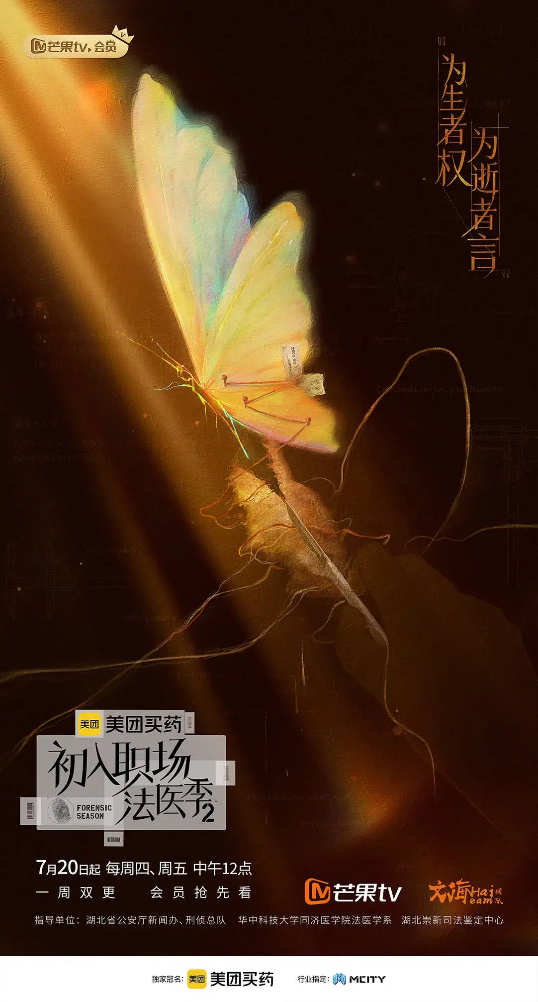 《初入职场·法医季2》：剖析真相，探寻法医世界的幕后故事