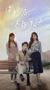 《谋妻入局》：霸道总裁的深夜情缘与爱情博弈