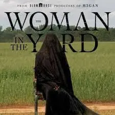 《院子里的女人》：窥视禁锢灵魂，探寻女性觉醒之路