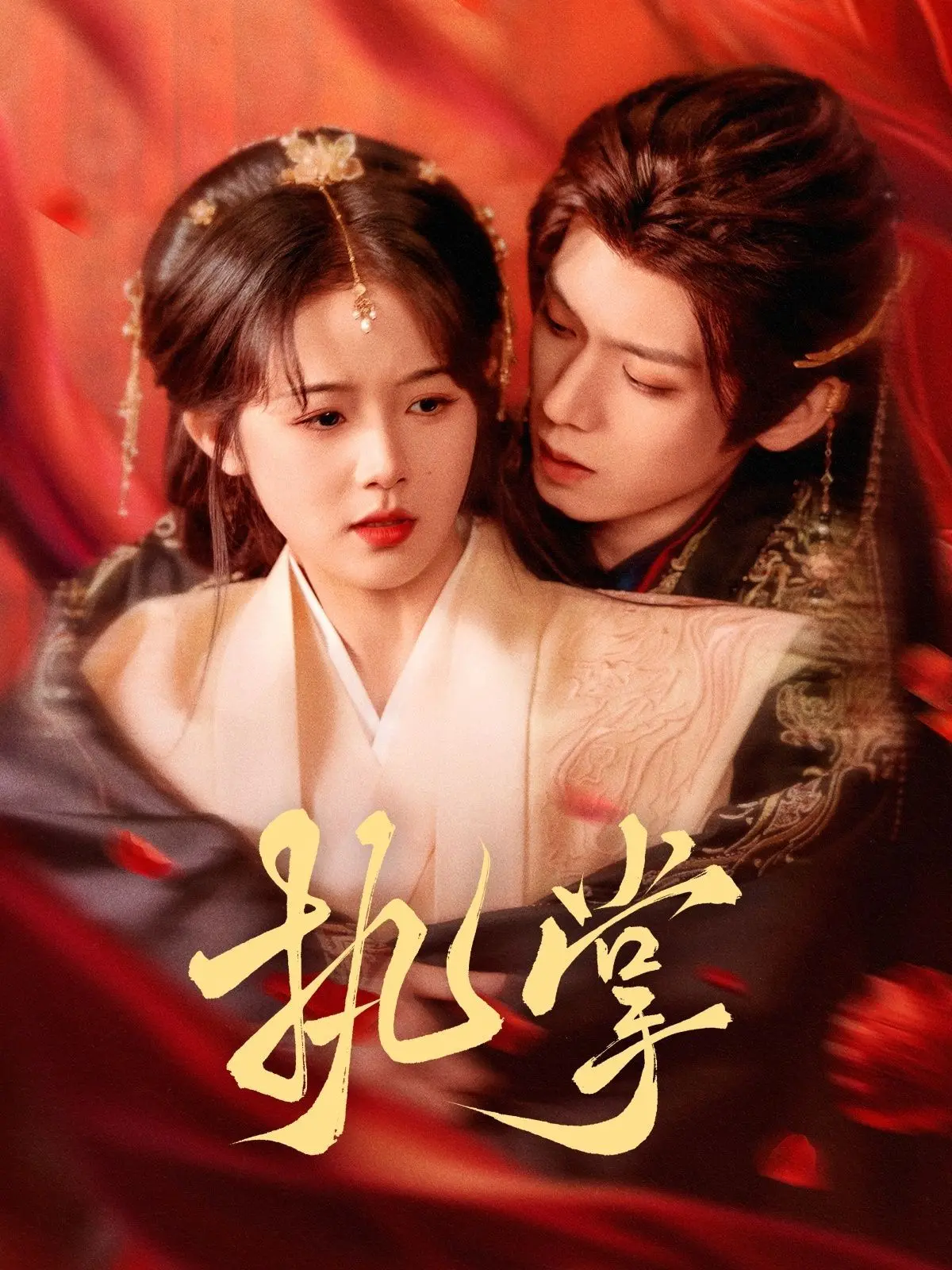 《执掌》：权力游戏下的命运沉浮，解读人性的复杂与挣扎