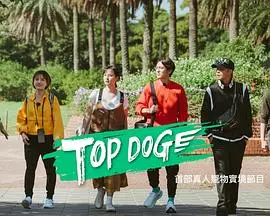 《TOP DOG》：警犬生涯的终极挑战！真实案例改编，人犬情深与正义的较量
